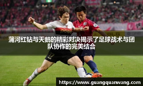 蒲河红钻与天鹅的精彩对决揭示了足球战术与团队协作的完美结合